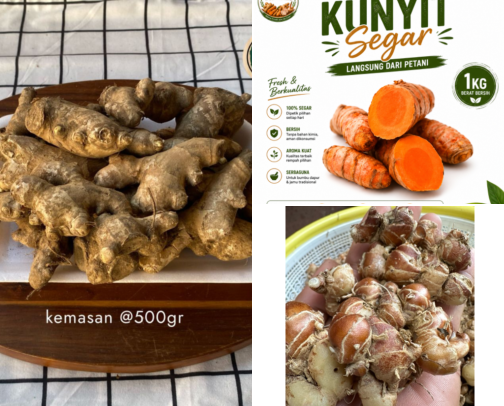 INGREDIENTS THAT I USE TO MAKE HERBAL MEDICINE (JAMU) cover photo collage