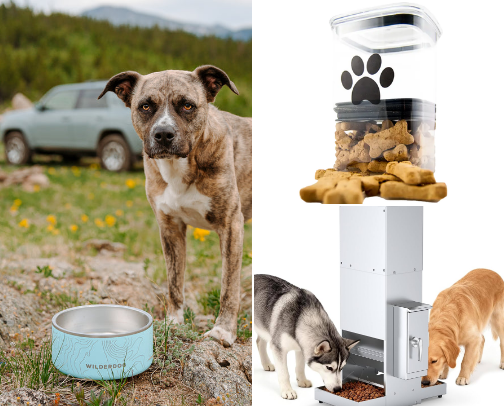 Everything You Need for Your Dog 🐶 cover photo collage