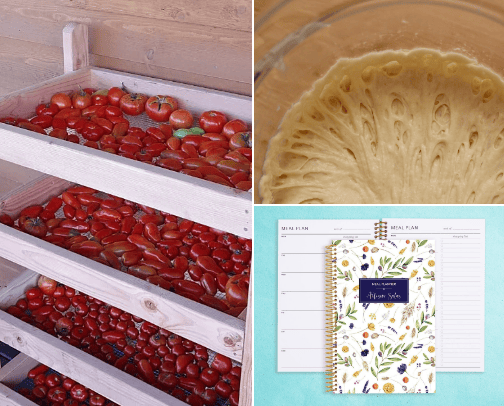 Food Preservation/Preparation cover photo collage