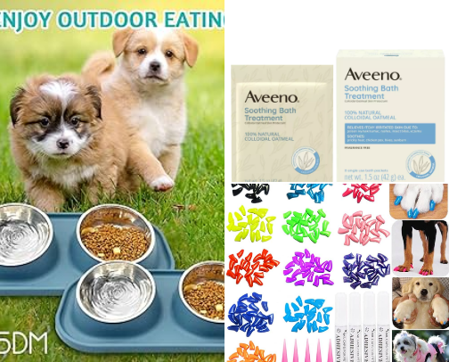Essentials for Boston Terriers cover photo collage