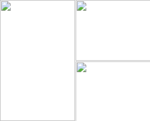 Indy Recommendations ✨🌆💗 cover photo collage