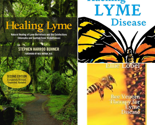 Lyme Disease cover photo collage