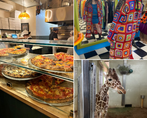 Best things to do in Colorado Springs cover photo collage