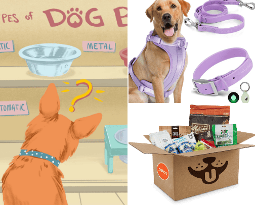 Dog Essentials cover photo collage