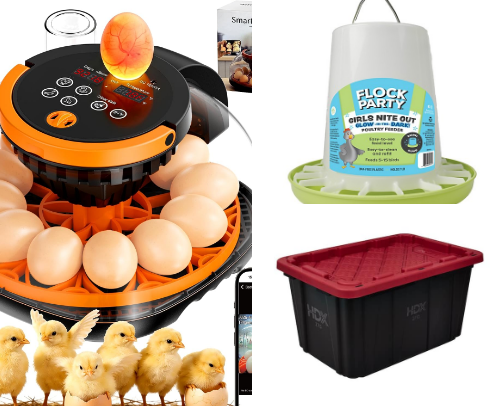 Baby Chickens cover photo collage