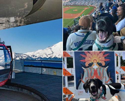 Dog Friendly Adventures Near Seattle cover photo collage