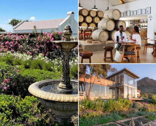 Wine Estates to visit in Cape Town 🍷✨🍇 cover photo collage