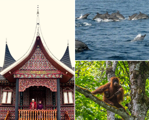 Hidden Escapes of Sumatra , Indonesia cover photo collage