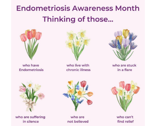 Period Essentials That Help a Girlie With Endometriosis cover photo collage
