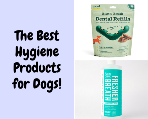 The Best Dog Hygiene Products! cover photo collage