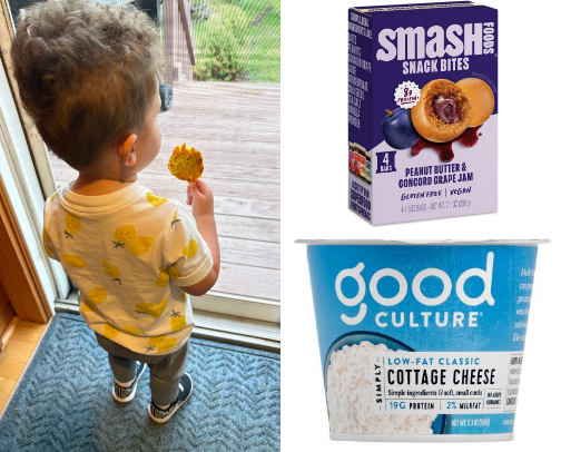 Healthy But Tasty Toddler Snacks cover photo collage