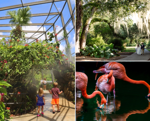 Best Things to Do in South Florida: A Local Nail Artist's Favorites cover photo collage