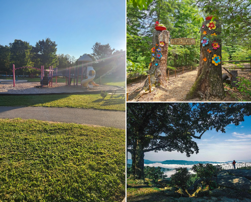 Hendersonville NC cover photo collage