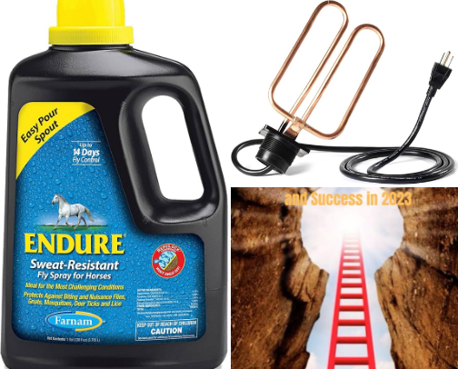 Horse Favorites cover photo collage