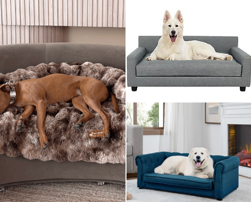 For the love of pets | Unique & Useful Finds cover photo collage