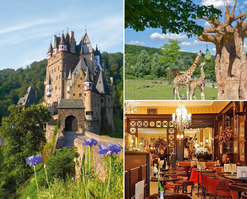 Exploring Germany: Top Eats and Must-Try Experiences 🇩🇪 cover photo collage