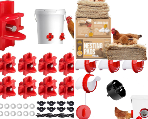 Chicken Keeping Necessities cover photo collage