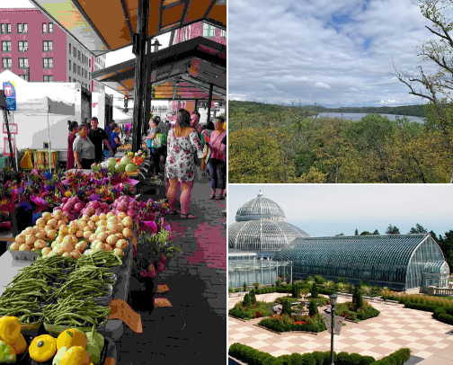 What's happening in the twin cities - things to do! cover photo collage