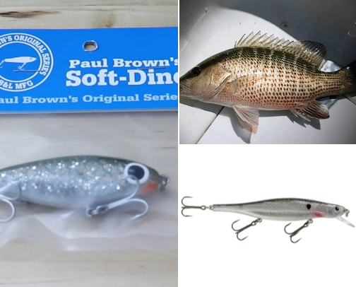 Top saltwater lures for 2026 cover photo collage