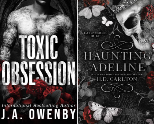 Dark Romance Diaries: Forbidden Chapters cover photo collage