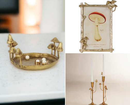 Mushrooms Galore 🍄 cover photo collage