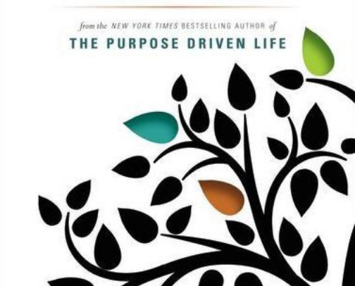 My favorite book recs cover photo collage