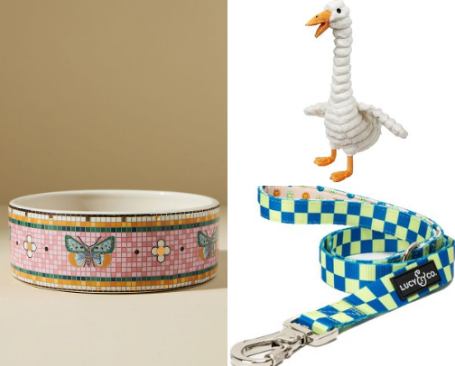 Things I Want For My Dog But Haven’t Bought Yet cover photo collage