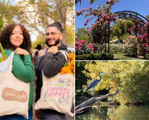 The SacTown Guide to being stoked on SacTown cover photo collage