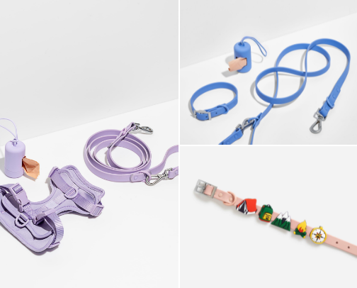 Dog Walking Essentials cover photo collage