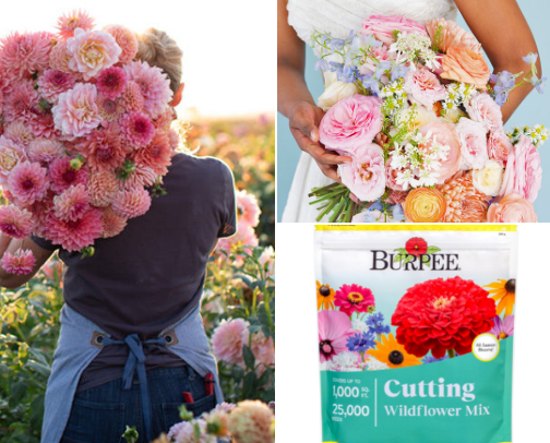 Great Things for Growing Flowers cover photo collage