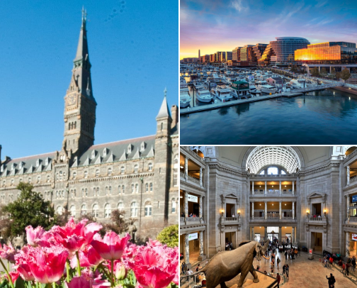 Postcards from DC: Must-Visit Places & Local Flavors 🇺🇸 🌎 cover photo collage