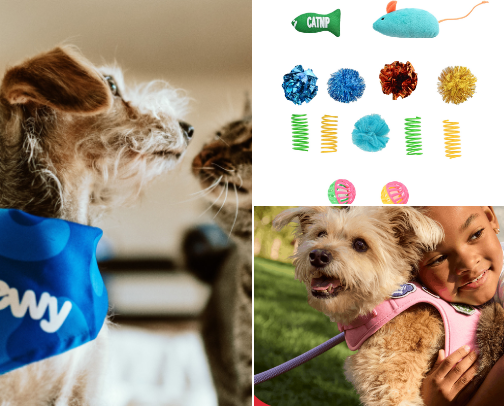Everything Pets! cover photo collage