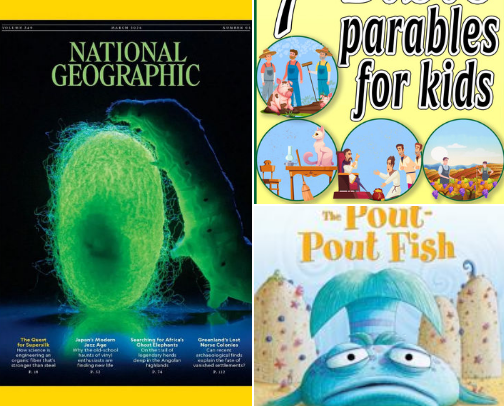 My favorite book recs cover photo collage