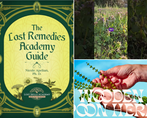 Herbal Education & Remedies cover photo collage