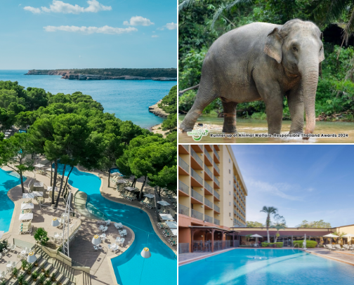 Travel For All cover photo collage