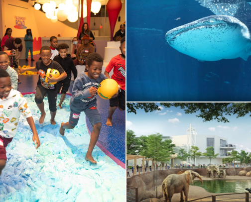 Things to do in GA cover photo collage