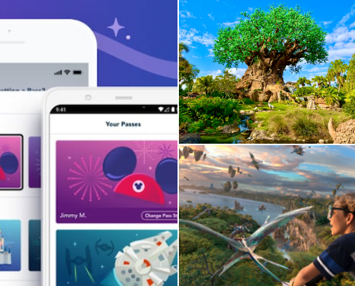 Animal Kingdom Tips, Tricks & Hacks: A Local's Guide to Doing Disney's Wildest Park Right cover photo collage