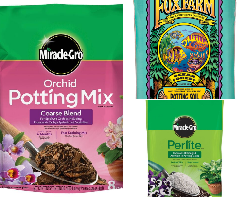 plant lady 🪴 cover photo collage