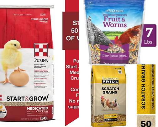 Pets cover photo collage