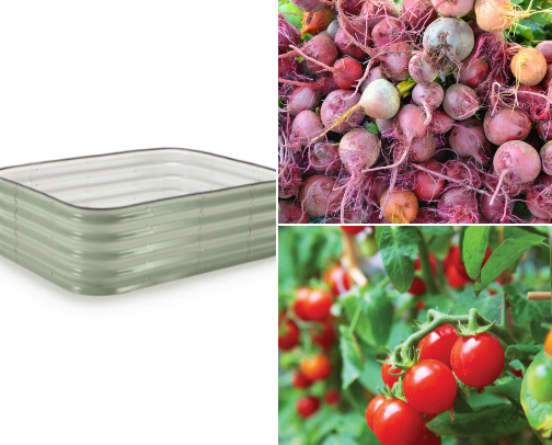 SoCal Gardening Must-Haves cover photo collage