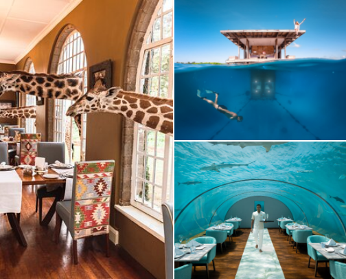 Unforgettable Stays: Top Bucket List Hotels Around the World cover photo collage