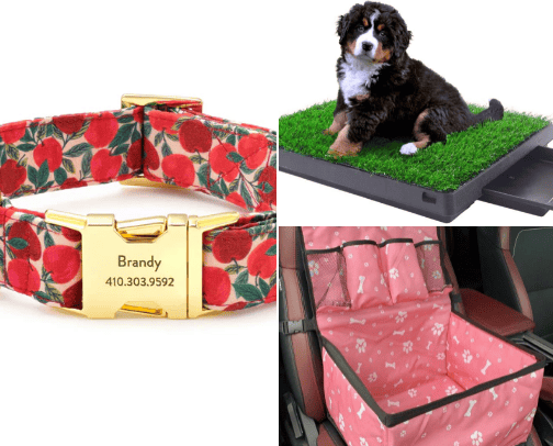 Pet haven cover photo collage