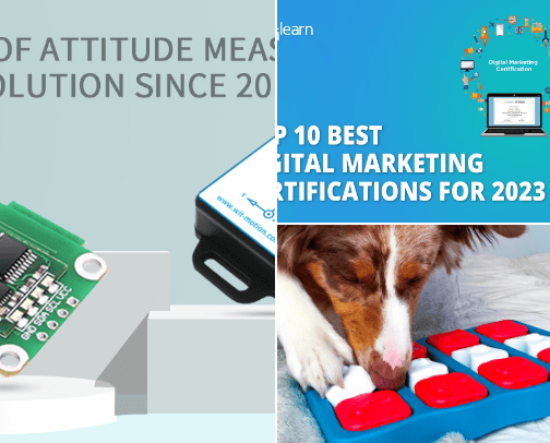 Digital and Dogs cover photo collage