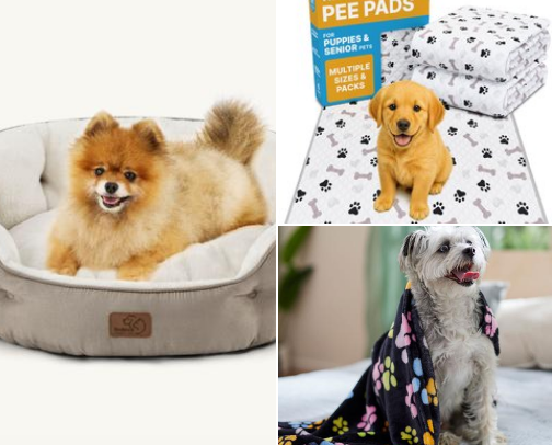 New Puppy Supplies That Get Two Paws Up cover photo collage