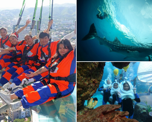 Travel Essentials & Adventures cover photo collage