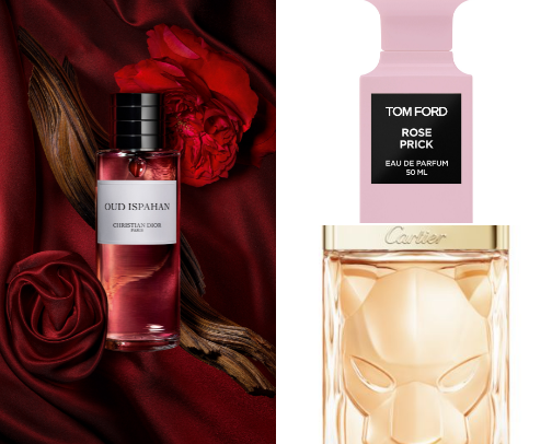 Conversation starting Scents cover photo collage