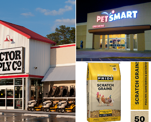 Everything ANIMALS to get the tasks done. cover photo collage