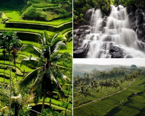 Bali : must try, visit and explore cover photo collage