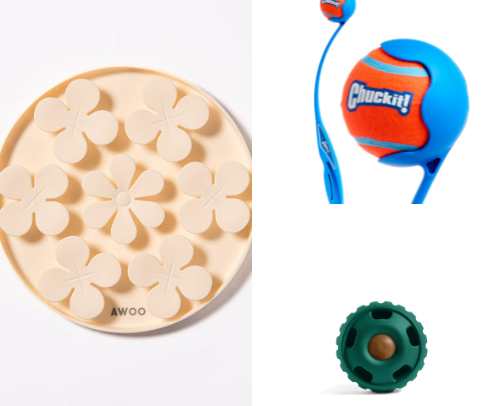 No ruff days 🦴🎾 cover photo collage