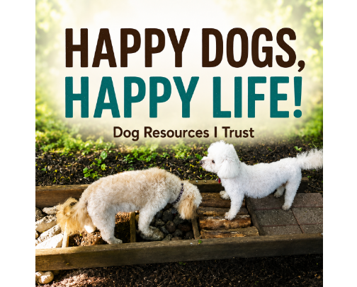 🐶 Happy Dogs, Happy Life: Dog Resources I Trust cover photo collage